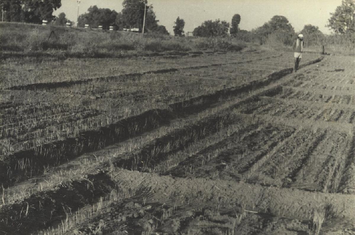 Grassland & Fodder Development