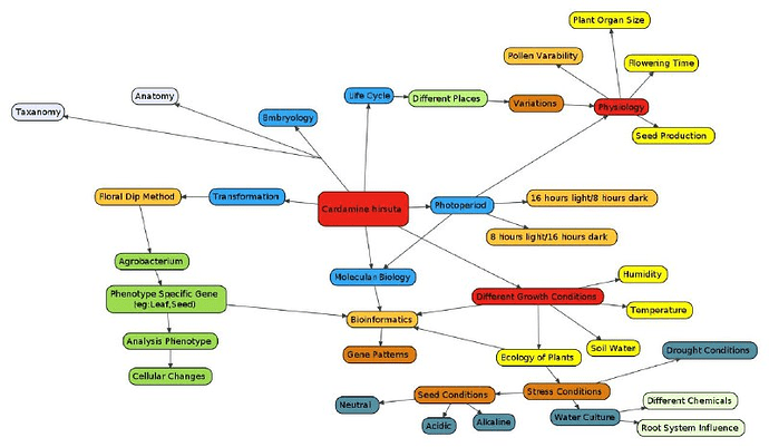 Concept map on Cardamine model by CUBE participants