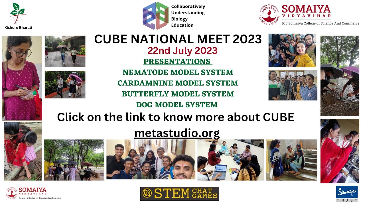 CUBE NATIONAL MEET 2023 (DAY 1 PART 3)